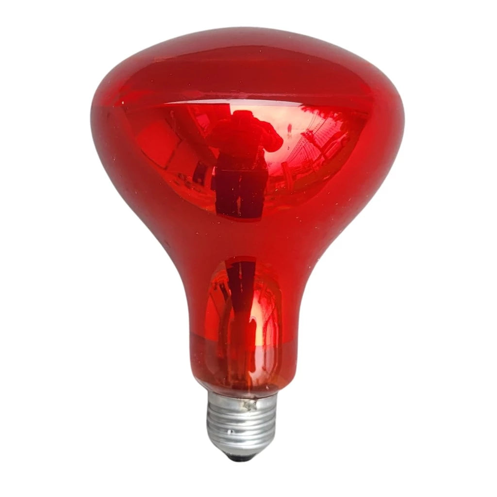 LAMPADA PARA CAIXA DE CALOR 110V - MADEIRA